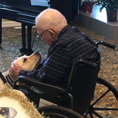 A facility dog greeting a man in a wheelchair